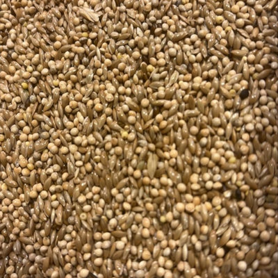 Superpetstoreuk247 Johnston And Jeff Super 50 Budgerigar Seed Mix Premium Nutrition For Parakeets And Budgies High Energy Bird Food from B&Q