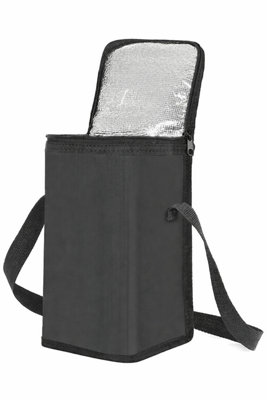 Camp&fire 6L Cooler Bag. (Black) Insulated Thermal Lunch Bag With Shoulder Strap. Leakproof Cool Bag For CampingPicnicTravel. from B&Q