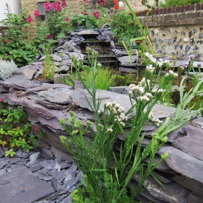 Erth Stone Plum Slate Pond Edging Stones 850Kg Bulk Bag from B&Q
