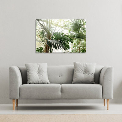 Andrew Lee Green Plants In Botanical Garde (Canvas Print) / 114 X 77 X 4Cm from B&Q