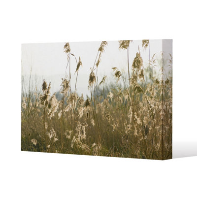 Andrew Lee Plumes Slimbridge (Canvas Print) / 114 X 77 X 4Cm from B&Q