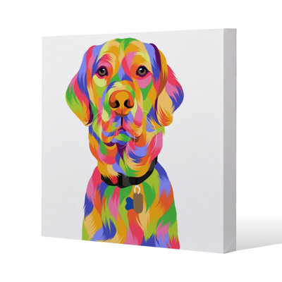 Andrew Lee Amazing Illustration Pop Art (Canvas Print) / 61 X 61 X 4Cm from B&Q