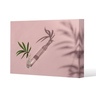 Andrew Lee Botanical Leaf On Pink (Canvas Print) / 61 X 41 X 4Cm from B&Q