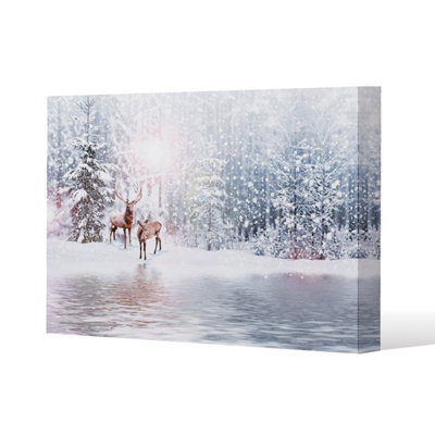 Andrew Lee In The Frost (Canvas) / 46 X 31 X 4Cm from B&Q