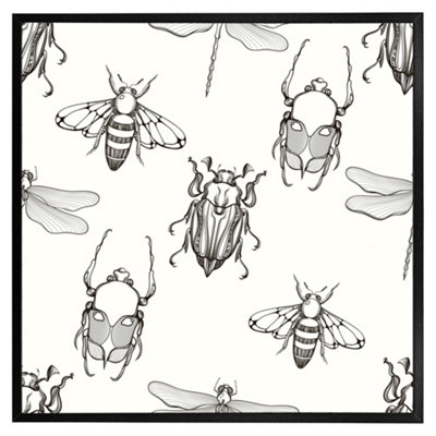 Andrew Lee Sketch Of Scarab BeetleMay BugBee And Dragonfly (Picutre Frame) / 24X24" / Black from B&Q