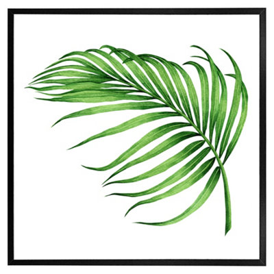 Andrew Lee Botanical Leaf (Picutre Frame) / 16X16" / White from B&Q