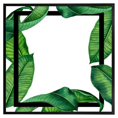 Andrew Lee Botanical & Black Border (Picutre Frame) / 24X24" / White from B&Q