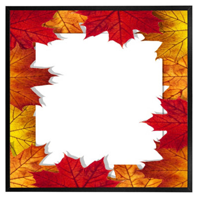 Andrew Lee Autumn Border (Picutre Frame) / 20X20" / Black from B&Q