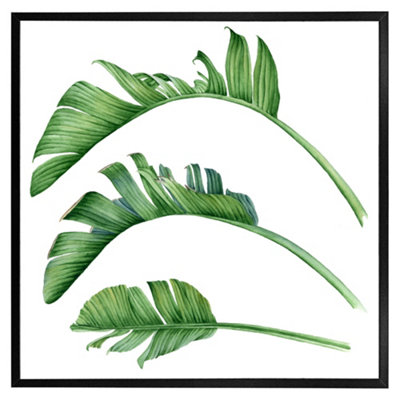 Andrew Lee Triple Botanical (Picutre Frame) / 20X20" / White from B&Q