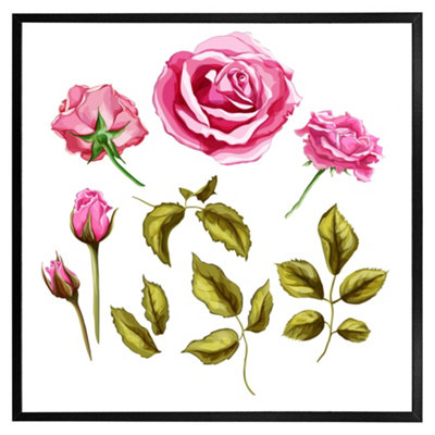 Andrew Lee Roses & Leaves (Picutre Frame) / 16X16" / Oak from B&Q