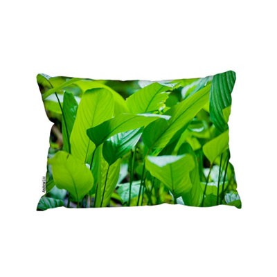 Andrew Lee Green Leaf Background Abstract Of Nature (Cushion) / 30Cm X 45Cm from B&Q