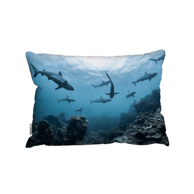Andrew Lee Schooling Grey Reef SharksNingaloo ReefWestern Australia (Cushion) / 30Cm X 45Cm from B&Q
