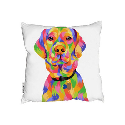 Andrew Lee Amazing Illustration Pop Art (Cushion) / 60Cm X 60Cm from B&Q