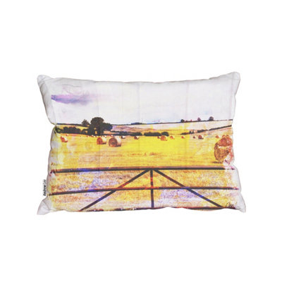 Andrew Lee CushionsHay Bale (Cushion) / 45Cm X 30Cm from B&Q