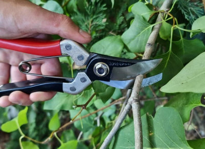 Kimura-Sam 101-8" Samurai Garden Secateurs Heavy Duty Yasugi Steel Blades Premium Made In Japan Pruning Shears & Hand Pruners from B&Q