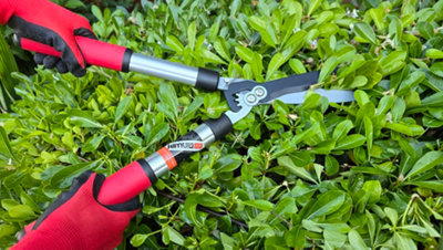Kimura-Pro 201-Geared Hedge Shears Premium Japanese Sk5 Steel Garden Clippers Ultra Aluminium Heavy Duty Shrub Trimmers from B&Q