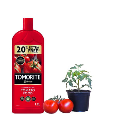 Levington Tomorite Concentrated Tomato Plant Food 1.2L + 20% Extra Free