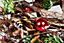 50cm B/O LED Twig Wood Tree Red/Brown