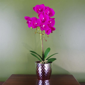 50cm Phalaenopsis Orchid Artificial - Dark Pink Silver