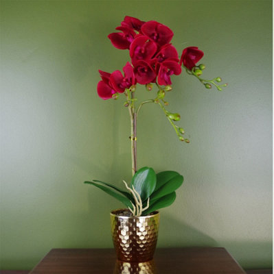 50cm Phalaenopsis Orchid Artificial - Dark Red - Gold Pot