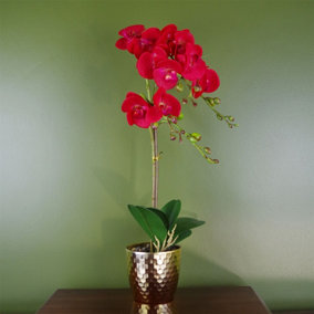 50cm Phalaenopsis Orchid Artificial - Red Leopard - Gold Pot