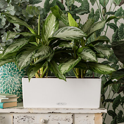 50cm White Window Box, Plastic LECHUZA BALCONERA Color Self