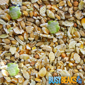 50g BusyBeaks Duck & Goose Mix - Natural Healthy Diet Feed For Wildlife Bird Food