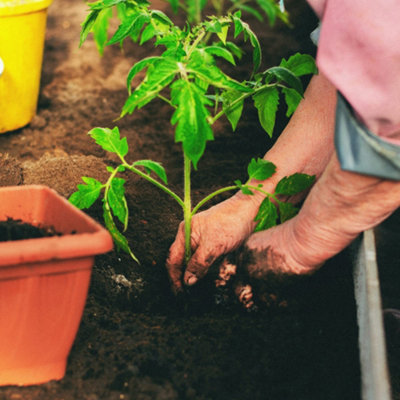 50L Organic Manure by Laeto Your Signature Garden - FREE DELIVERY INCLUDED - 5