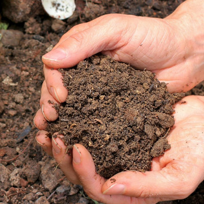 50L Organic Manure by Laeto Your Signature Garden - FREE DELIVERY INCLUDED - 6