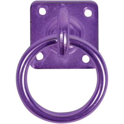 50mm x 50mm No.550/PP Perry Equestrian Swivel Tie Ring on Plate - Pack of 2 PREPACKED Price Comparisons | Compare The Build