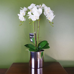 52cm Artificial Orchid Large -White / Silver