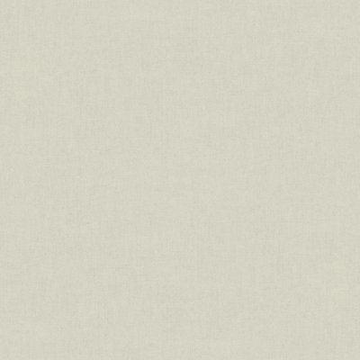Grandeco Varadero Plain Plaster Effect Blown Vinyl WallpaperLight Green from B&Q