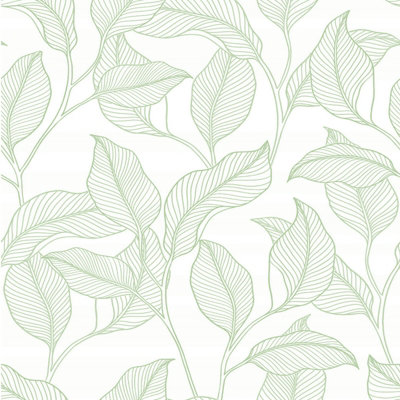 Grandeco Tropical Leaves Exotic Leaf Trail Feature Wallpaper Textured Non Woven Green A74902 from B&Q