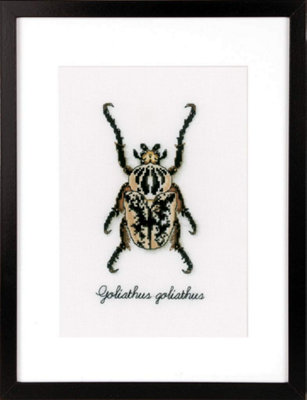 Groves Of Thames Beetle - Counted Cross Stitch Kit: Beetle - Vervaco Beige