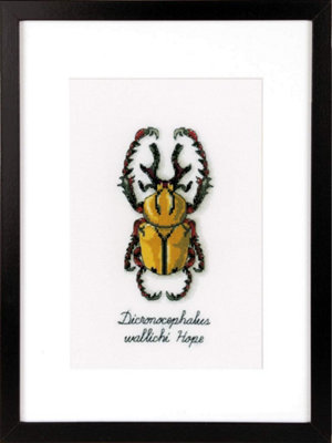 Groves Of Thames Beetle - Counted Cross Stitch Kit: Beetle - Vervaco Golden