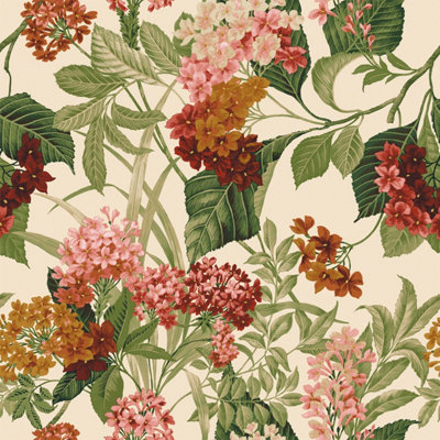 Belgravia Misaki Sage/orange Floral Bloom Wallpaper 2322 from B&Q
