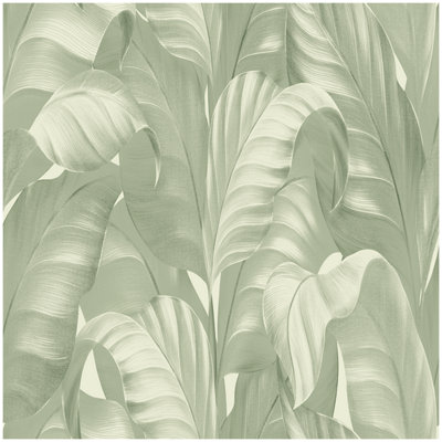Sumatra Palm Wallpaper Sage Green Leaf Botanical Jungle Belgravia Feature Wall from B&Q