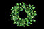 55cm Imperial Pine Green Christmas Wreath