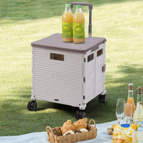55L Collapsible Rolling Utility Crate with Magnetic Lid 40cm W x 36cm D x 44cm H