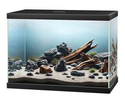 Ciano Aqua 15 Aquarium Black White 13 Litre Starter Fish Tank Filter And Lid Black from B&Q