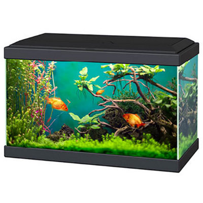 B&Q -  Aqua 20 Classic Aquarium Black With Filter Beginner Fish Tank
