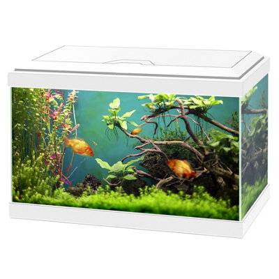 Ciano Aqua 20 Classic Aquarium White With Filter Beginner Fish Tank from B&Q