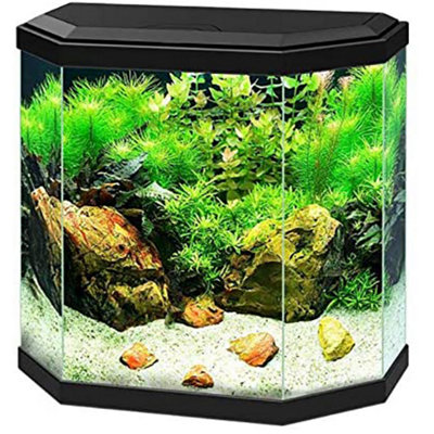 Ciano Aqua Aquarium 30 Hex Black Lighting Hood Filter Beginner Fish Tank from B&Q