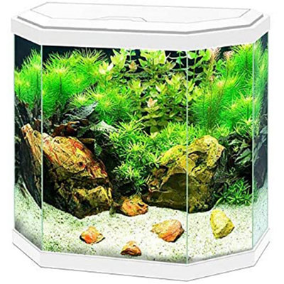 Ciano Aqua 30 Aquarium - White - 25L - Image 3