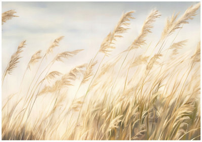 Wallarena Photo Wallpaper Pampas Grass Beige Boho Nature Non-Woven Wall Mural Modern 400X280 Cm from B&Q