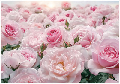Wallarena Photo Wallpaper Blumen Non-Woven Wall Mural Modern 400X280 Cm from B&Q