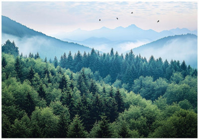 Wallarena Photo Wallpaper Forest Fog Nature Bedroom Non-Woven Wall Mural Modern 350X250 Cm from B&Q