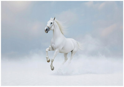 Wallarena Photo Wallpaper Horse Bedroom Non-Woven Wall Mural Modern 400X280 Cm from B&Q