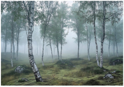 Wallarena Photo Wallpaper Forest 3D Bedroom Non-Woven Wall Mural Modern 400X280 Cm from B&Q
