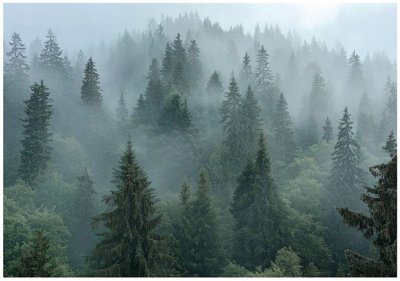 Wallarena Photo Wallpaper Forest Fog Bedroom Non-Woven Wall Mural Modern 350X250 Cm from B&Q